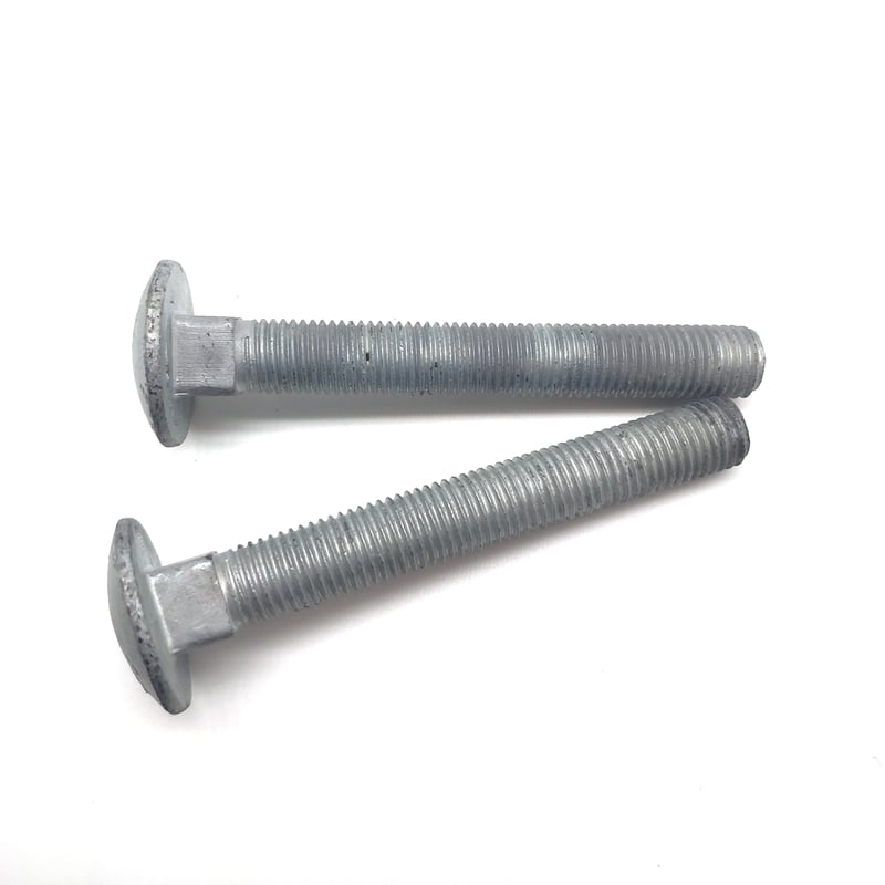 Carriage Bolt — Bolt